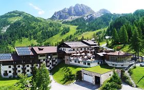 Alpenhotel Plattner  4*